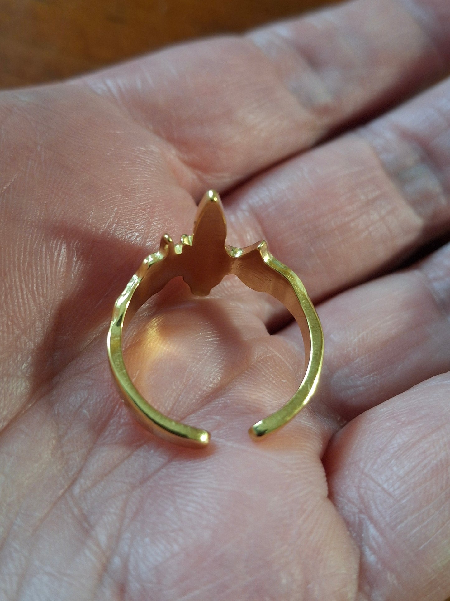 Ring aus Edelstahl 316 mit roter Emaille-Beschichtung, verstellbar.